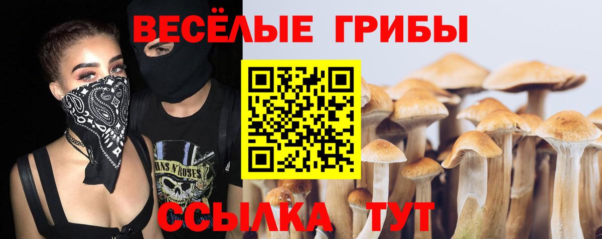 Салехард  Псилоцибиновые грибы Psilocybe  Вход с VPN  Псилоцибиновые грибы Psilocybine cubensis 